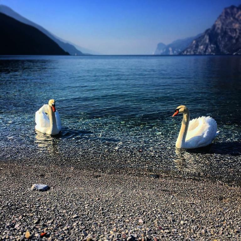 Villa Linfano Torbole Sul Garda Zewnętrze zdjęcie