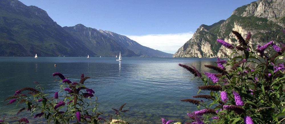Villa Linfano Torbole Sul Garda Zewnętrze zdjęcie